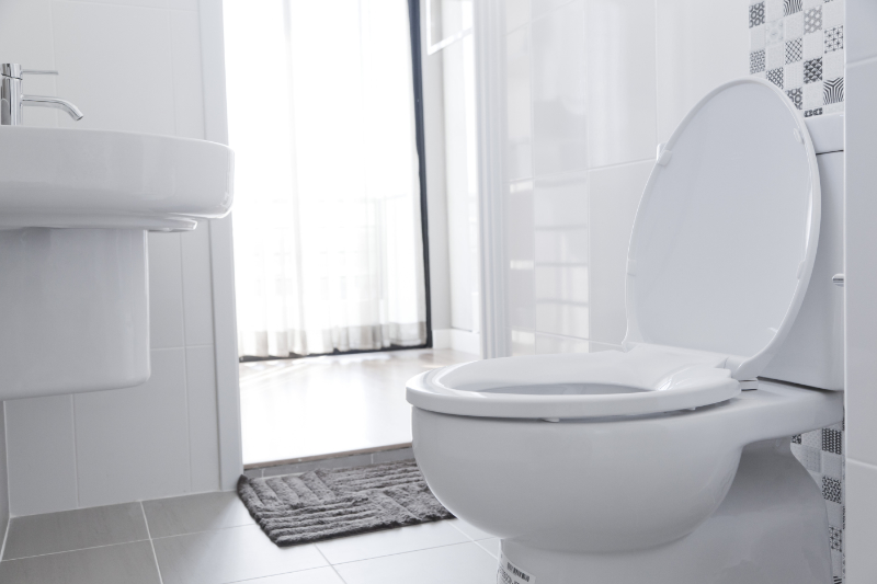 Do I Need a Plumbing Inspection? White toilet in home.